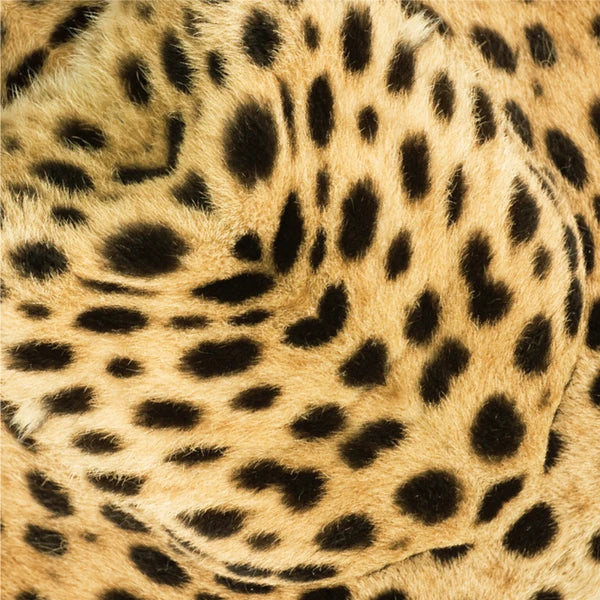 MARUMO PRINTING Animal Origami Paper - Cheetah / Type A / Giraffe / Elephant - Additional product image