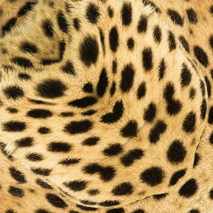 MARUMO PRINTING Animal Origami Paper - Cheetah / Type A / Giraffe / Elephant - Additional product image