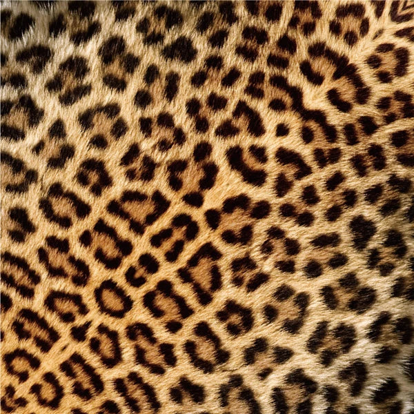 MARUMO PRINTING Animal Origami Paper - Zebra / Lion / Type B / Leopard - Additional product image