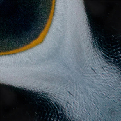MARUMO PRINTING Animal Origami Paper - Penguin / Seal / Type C - Additional product image