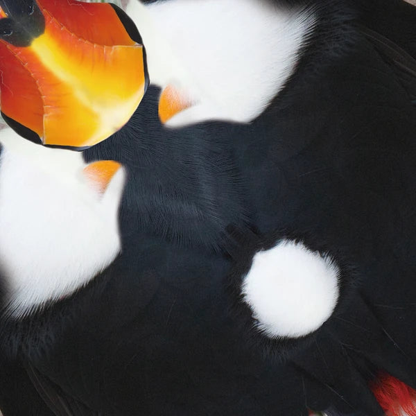 MARUMO PRINTING Animal Origami Paper - Sun Conure / Red Macaw / Toco Toucan / Tropical / Type E - Additional product image