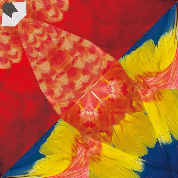 MARUMO PRINTING Animal Origami Paper - Sun Conure / Red Macaw / Toco Toucan / Tropical / Type E - Additional product image