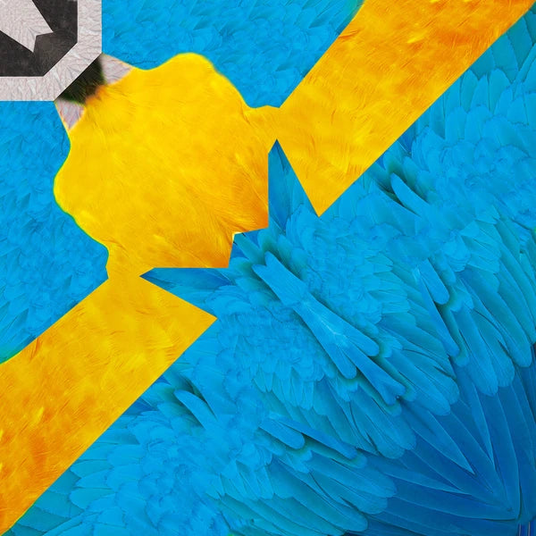 MARUMO PRINTING Animal Origami Paper - Blue-and-yellow Macaw / Scarlet Macaw / Guinea Turaco / Tropical / Type F - Additional product image