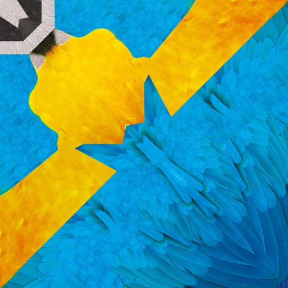 MARUMO PRINTING Animal Origami Paper - Blue-and-yellow Macaw / Scarlet Macaw / Guinea Turaco / Tropical / Type F - Additional product image