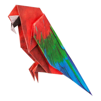 MARUMO PRINTING Animal Origami Paper - Blue-and-yellow Macaw / Scarlet Macaw / Guinea Turaco / Tropical / Type F - Additional product image
