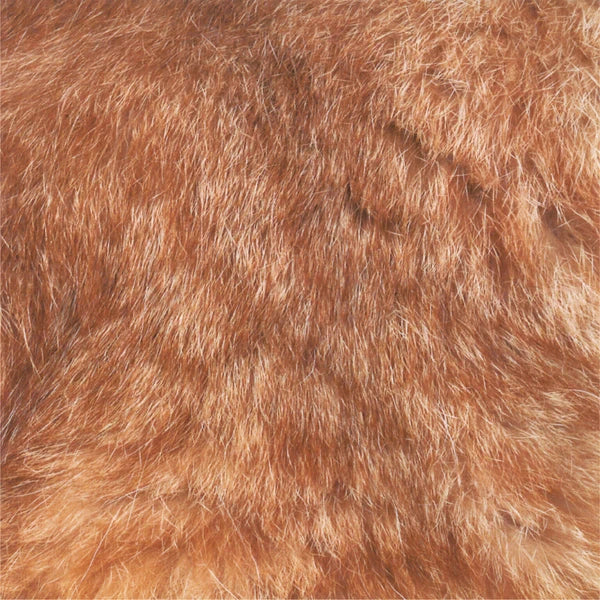 MARUMO PRINTING Animal Origami Paper - Scottish Fold / Maine Coon / Munchkin Cat / Type H - Additional product image