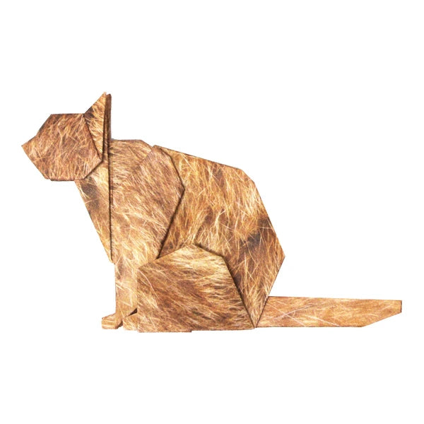 MARUMO PRINTING Animal Origami Paper - Scottish Fold / Maine Coon / Munchkin Cat / Type H - Additional product image