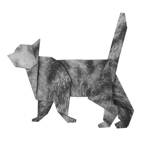 MARUMO PRINTING Animal Origami Paper - Scottish Fold / Maine Coon / Munchkin Cat / Type H - Additional product image