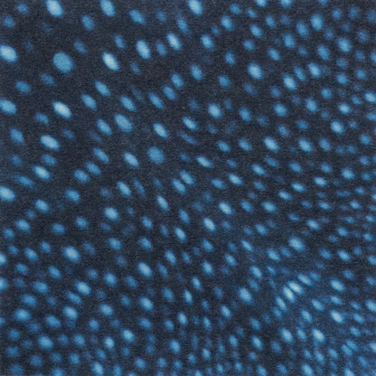 MARUMO PRINTING Animal Origami Paper - Rockhopper Penguin / Ringed Seal / Whale Shark / Ocean - Additional product image