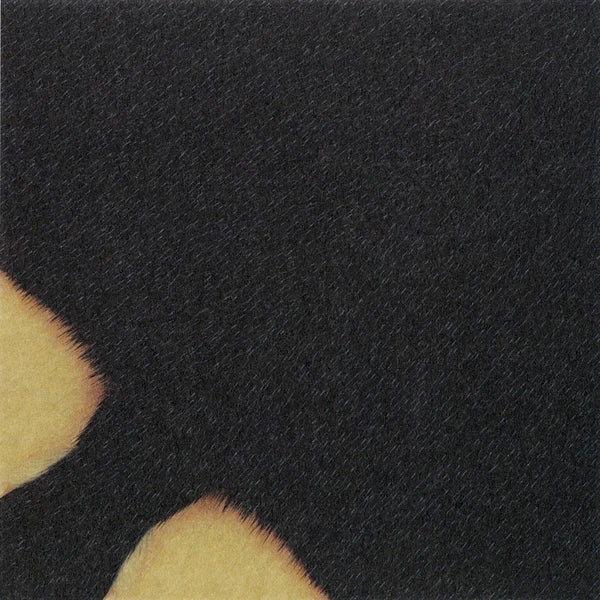 MARUMO PRINTING Animal Origami Paper - Rockhopper Penguin / Ringed Seal / Whale Shark / Ocean - Additional product image
