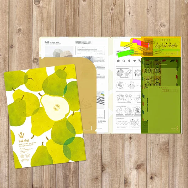 MARUMO PRINTING Pokeful A4 Pocket Clear File - Pear - Wholesale Pack