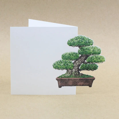 MARUMO PRINTING Bonsai Pop-Up Memo Pad - Moyogi Informal Upright Style - Wholesale Pack