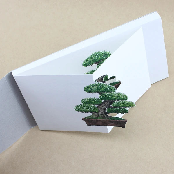 MARUMO PRINTING Bonsai Pop-Up Memo Pad - Moyogi Informal Upright Style - Additional product image