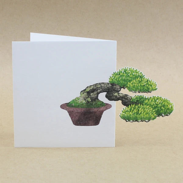 MARUMO PRINTING Bonsai Pop-Up Memo Pad - Han-Kengai Cascade Style - Wholesale Pack