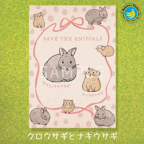 SEAL-DO PRINTING Banana Paper Postcard - Amami Rabbit and Pika