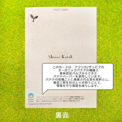 SEAL-DO PRINTING Banana Paper Postcard - Endangered Birds