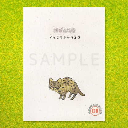 SEAL-DO PRINTING Banana Paper Postcard POP Set - Endangered Species A