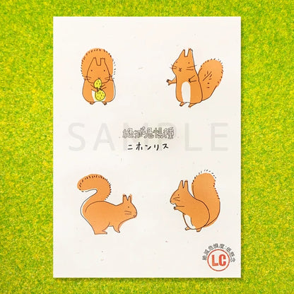 SEAL-DO PRINTING Banana Paper Postcard POP Set - Endangered Species A