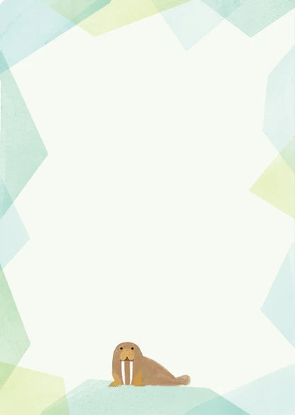 Kinose Printing Northern Endangered Species A4 Clear File