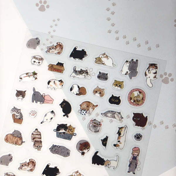 SEAL-DO PRINTING Sticker Sheet - Exotic Shorthair - Additional product image