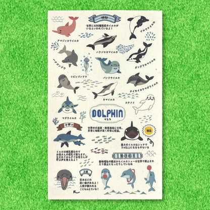SEAL-DO PRINTING Banana Paper Sheet Stickers - Zoo Idol Guide Dolphin