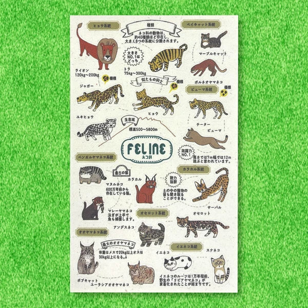 SEAL-DO PRINTING Banana Paper Sheet Stickers - Zoo Idol Guide Cat Family