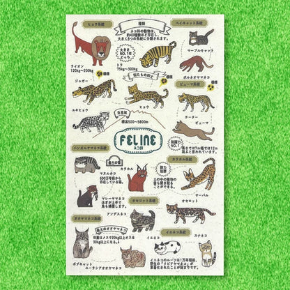 SEAL-DO PRINTING Banana Paper Sheet Stickers - Zoo Idol Guide Cat Family