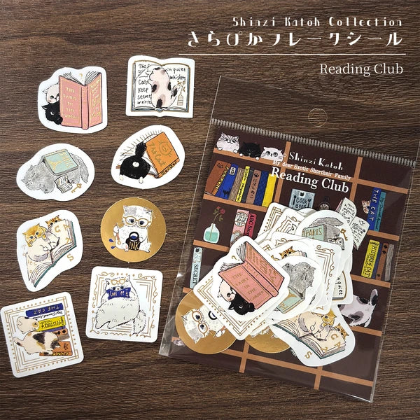 SEAL-DO PRINTING Kirapika Foil Flake Stickers - Reading Club - Additional product image