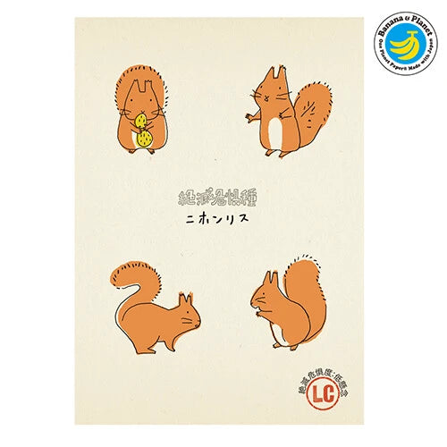 SEAL-DO PRINTING Banana Paper Postcard - Japanese Squirrel